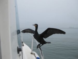 img_3329