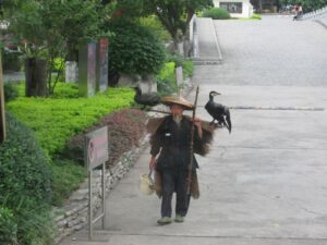 img_3905